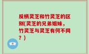 反柄灵芝和竹灵芝的区别(灵芝的兄弟姐妹，竹灵芝与灵芝有何不同？)