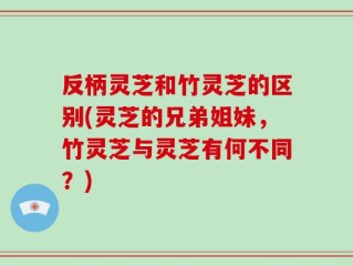 反柄灵芝和竹灵芝的区别(灵芝的兄弟姐妹，竹灵芝与灵芝有何不同？)