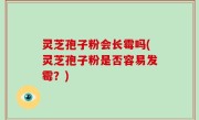 灵芝孢子粉会长霉吗(灵芝孢子粉是否容易发霉？)