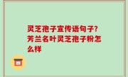 灵芝孢子宣传语句子？芳兰名叶灵芝孢子粉怎么样