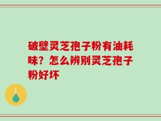 破壁灵芝孢子粉有油耗味？怎么辨别灵芝孢子粉好坏