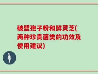 破壁孢子粉和鲜灵芝(两种珍贵菌类的功效及使用建议)