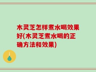 木灵芝怎样煮水喝效果好(木灵芝煮水喝的正确方法和效果)