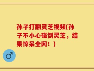 孙子打翻灵芝视频(孙子不小心碰倒灵芝，结果惊呆全网！)