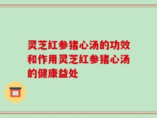 灵芝红参猪心汤的功效和作用灵芝红参猪心汤的健康益处