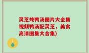 灵芝炖鸭汤图片大全集视频鸭汤配灵芝，美食高清图集大合集)