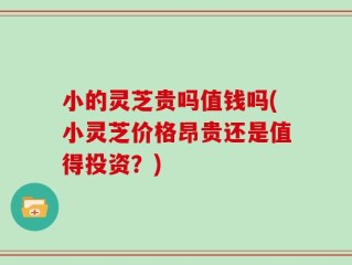小的灵芝贵吗值钱吗(小灵芝价格昂贵还是值得投资？)