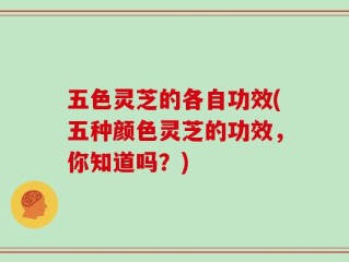 五色灵芝的各自功效(五种颜色灵芝的功效，你知道吗？)