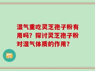湿气重吃灵芝孢子粉有用吗？探讨灵芝孢子粉对湿气体质的作用？