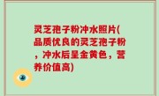 灵芝孢子粉冲水照片(品质优良的灵芝孢子粉，冲水后呈金黄色，营养价值高)