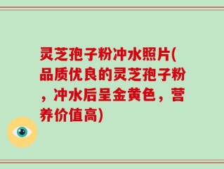 灵芝孢子粉冲水照片(品质优良的灵芝孢子粉，冲水后呈金黄色，营养价值高)