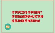 济南灵芝孢子粉招商？济南历城区椴木灵芝种植基地联系祥细地址