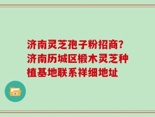 济南灵芝孢子粉招商？济南历城区椴木灵芝种植基地联系祥细地址