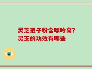 灵芝孢子粉含嘌呤高？灵芝的功效有哪些