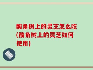 酸角树上的灵芝怎么吃(酸角树上的灵芝如何使用)