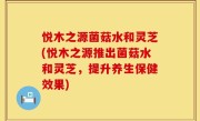 悦木之源菌菇水和灵芝(悦木之源推出菌菇水和灵芝，提升养生保健效果)