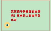 灵芝孢子粉里面有虫卵吗？玉米头上有虫子怎么办