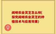 闻明农业灵芝怎么样(探究闻明农业灵芝的种植技术与应用效果)