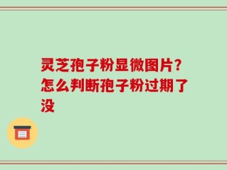 灵芝孢子粉显微图片？怎么判断孢子粉过期了没