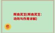 辉南灵芝(辉南灵芝：功效与作用详解)