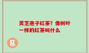 灵芝孢子红茶？像树叶一样的红茶叫什么