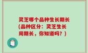 灵芝哪个品种生长期长(品种区分：灵芝生长周期长，你知道吗？)