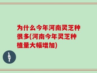 为什么今年河南灵芝种很多(河南今年灵芝种植量大幅增加)