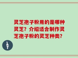 灵芝孢子粉用的是哪种灵芝？介绍适合制作灵芝孢子粉的灵芝种类？