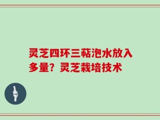 灵芝四环三萜泡水放入多量？灵芝栽培技术