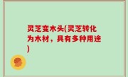 灵芝变木头(灵芝转化为木材，具有多种用途)