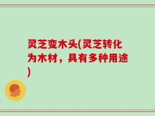 灵芝变木头(灵芝转化为木材，具有多种用途)