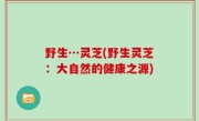 野生…灵芝(野生灵芝：大自然的健康之源)