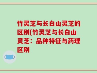 竹灵芝与长白山灵芝的区别(竹灵芝与长白山灵芝：品种特征与药理区别