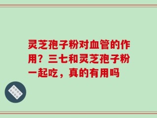 灵芝孢子粉对血管的作用？三七和灵芝孢子粉一起吃，真的有用吗