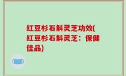 红豆杉石斛灵芝功效(红豆杉石斛灵芝：保健佳品)
