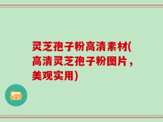 灵芝孢子粉高清素材(高清灵芝孢子粉图片，美观实用)