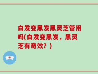白发变黑发黑灵芝管用吗(白发变黑发，黑灵芝有奇效？)