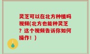 灵芝可以在北方种植吗视频(北方也能种灵芝？这个视频告诉你如何操作！)