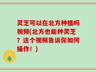 灵芝可以在北方种植吗视频(北方也能种灵芝？这个视频告诉你如何操作！)