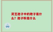灵芝孢子中的袍子是什么？孢子粉是什么