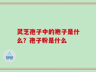 灵芝孢子中的袍子是什么？孢子粉是什么