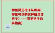 种植灵芝孢子从哪买(哪里可以购买种植灵芝孢子？——灵芝孢子购买指南)