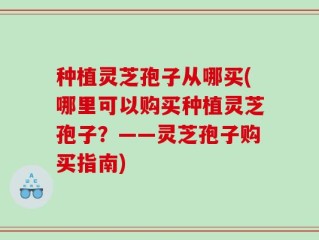 种植灵芝孢子从哪买(哪里可以购买种植灵芝孢子？——灵芝孢子购买指南)