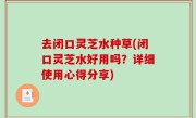 去闭口灵芝水种草(闭口灵芝水好用吗？详细使用心得分享)