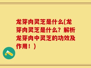 龙芽肉灵芝是什么(龙芽肉灵芝是什么？解析龙芽肉中灵芝的功效及作用！)