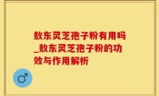 敖东灵芝孢子粉有用吗_敖东灵芝孢子粉的功效与作用解析