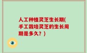 人工种植灵芝生长期(手工栽培灵芝的生长周期是多久？)