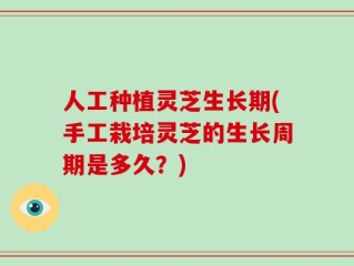 人工种植灵芝生长期(手工栽培灵芝的生长周期是多久？)
