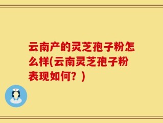云南产的灵芝孢子粉怎么样(云南灵芝孢子粉表现如何？)