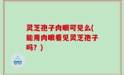 灵芝孢子肉眼可见么(能用肉眼看见灵芝孢子吗？)